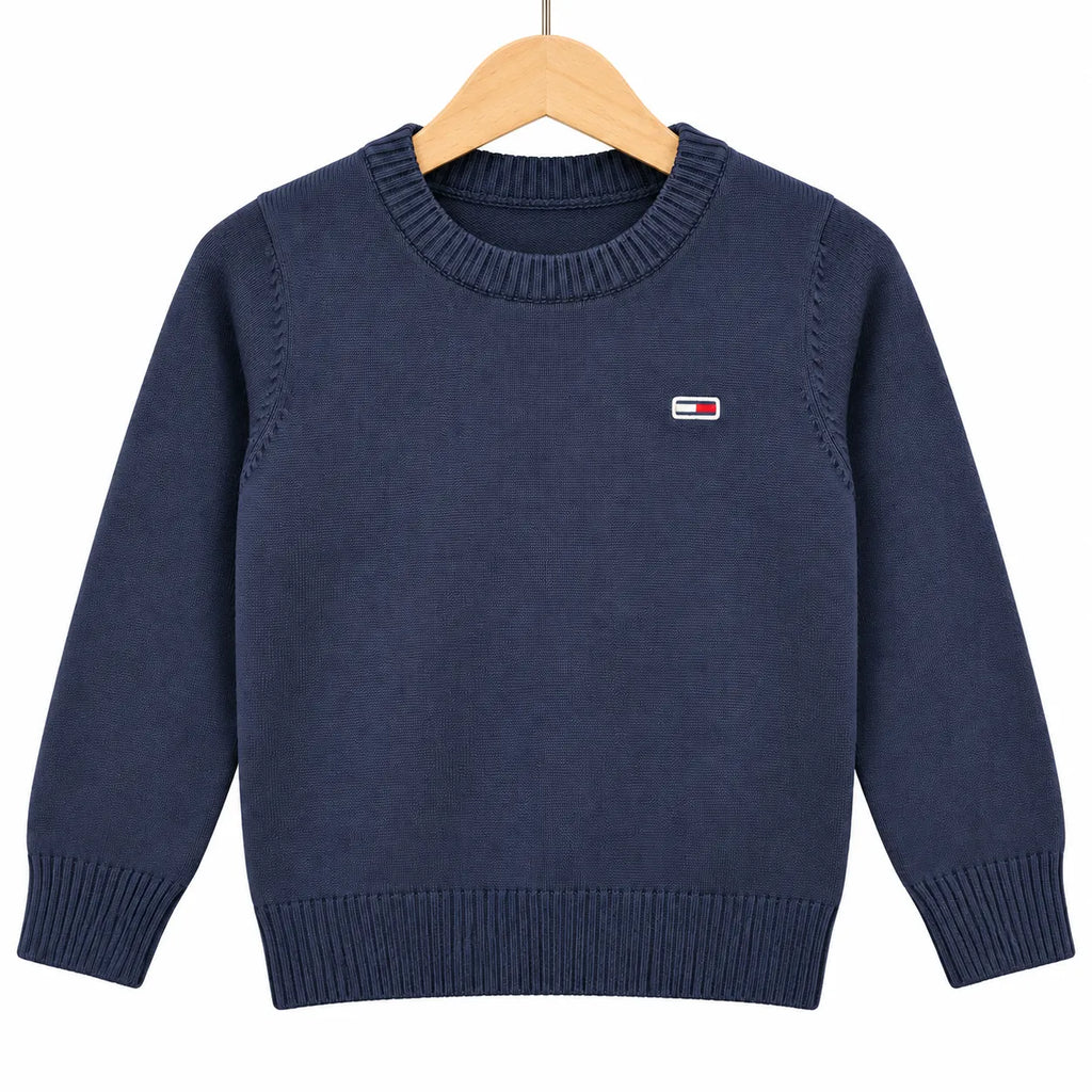 Boys Navy Blue Winter Sweater with Tommy Hilfiger Print (Size 3 - 6 Years)