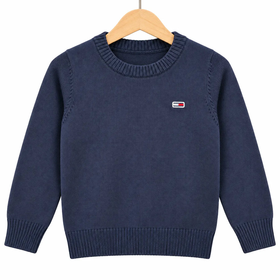 Boys Navy Blue Winter Sweater with Tommy Hilfiger Print (Size 3 - 6 Years)