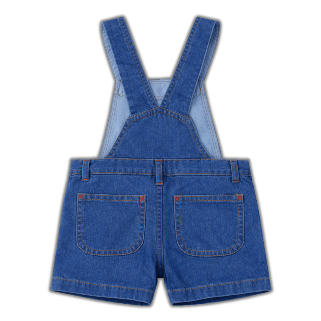 Blue Denim Cotton Dangri