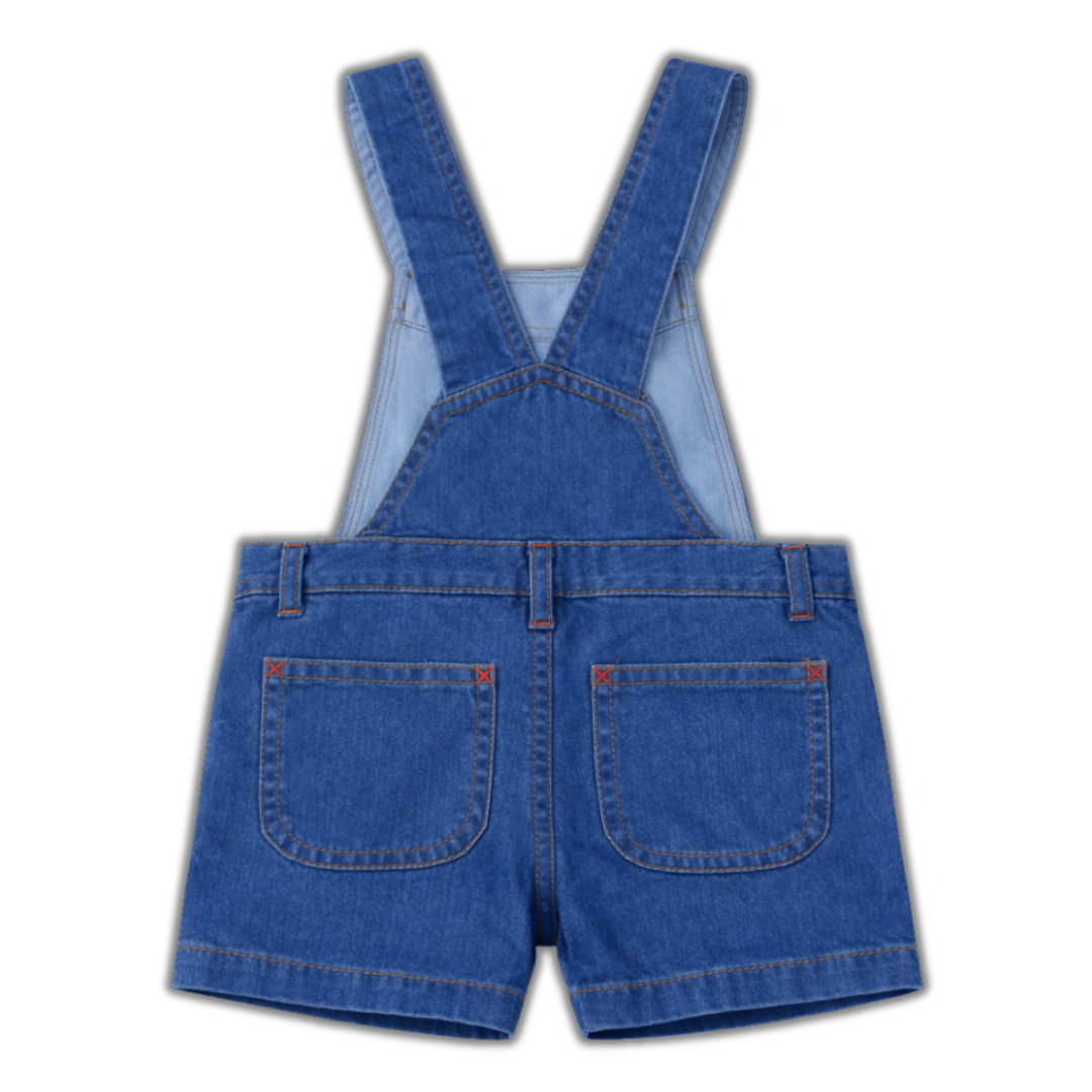 Blue Denim Cotton Dangri