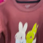 Peach Rabbit Family Fleece Tracksuit – Sweatshirt & Jogger Set (1–12 Years)